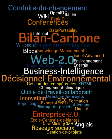 Wordle - Comptetences Cédric Ringenbach